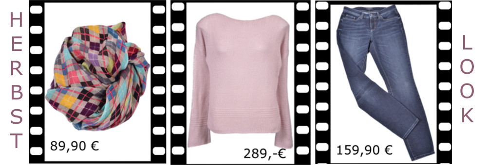 newsletter-herbst-look-hp
